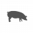 porc_illu.png